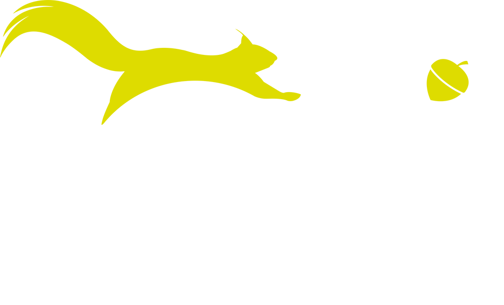 SQUI - Made for adventure